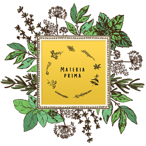 Materia Prima Catering